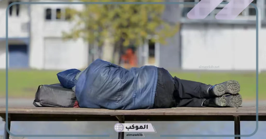 ما هو معنى هوملس وترجمة Homeless في قاموس المعاني 5 معنى homeless بالانجليزي