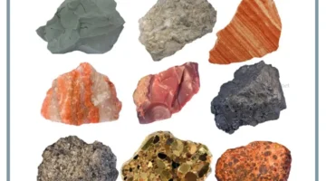 أمثلة على الصخور الرسوبية