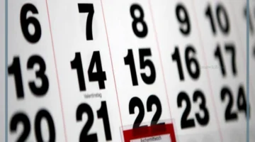 السنة بها كم أسبوع