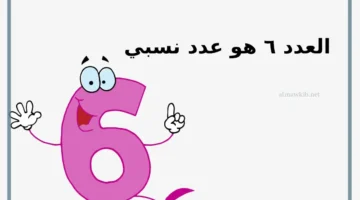 العدد 6 نسبي أم لا