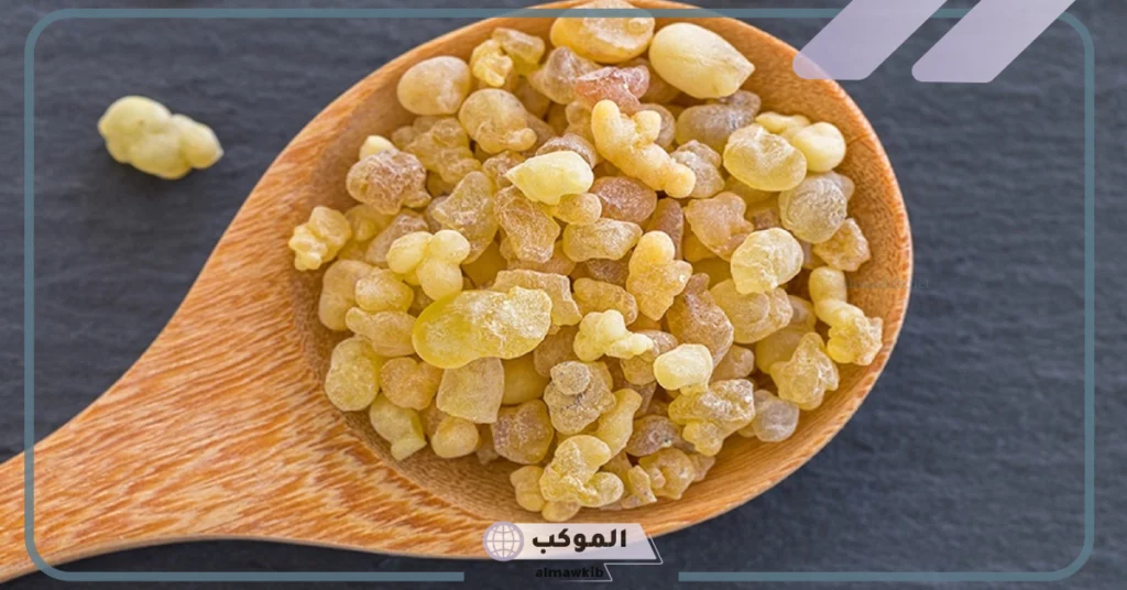 فوائد العنزروت للحمل جابر القحطاني.. طرق استخدام العنزروت 5 العنزروت للحمل وطرق استخدامه