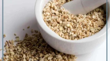 العنزروت للحامل