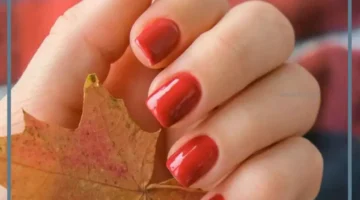 تأويل الظفر