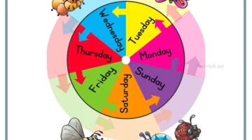 ترتيب الأسبوع