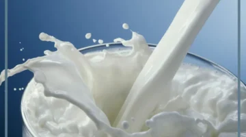 حليب للعزباء