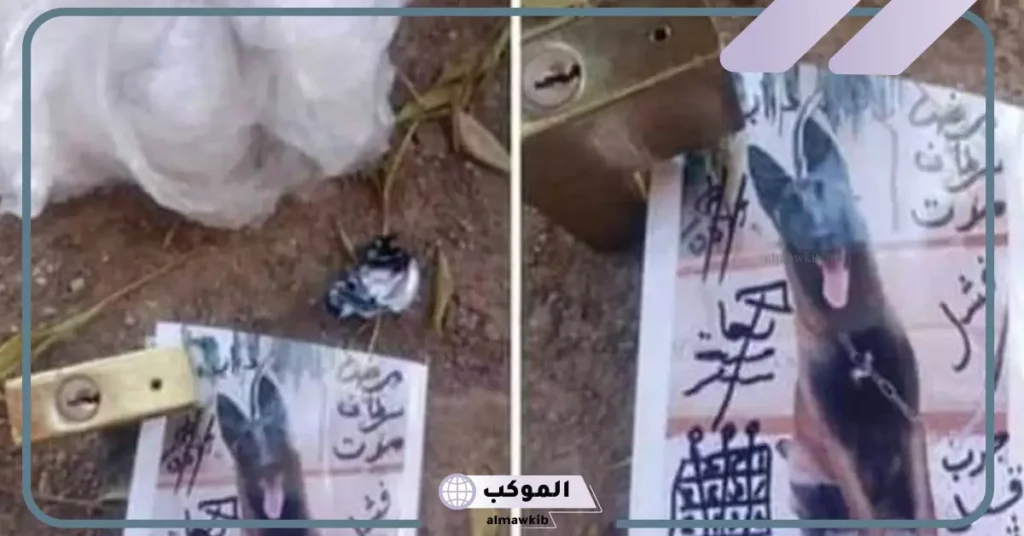 تفسير الحلم بالسحر في منام المرأة المتزوجة والعزباء لابن سيرين 6 تفسير حلم السحر من الأقارب للمتزوجة