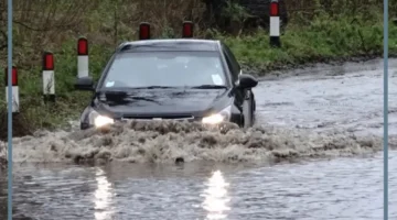 سيل في حلمي