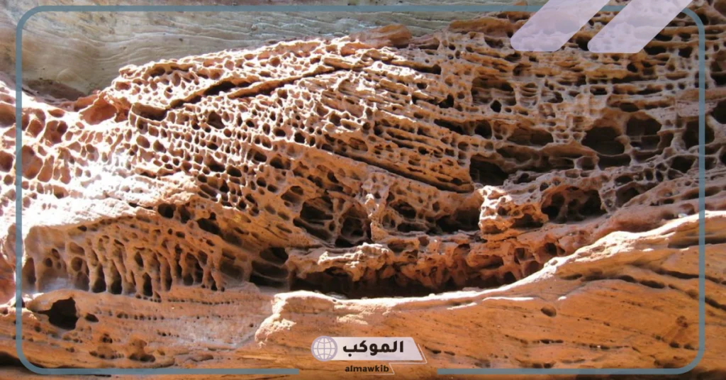 أهمية التجوية 