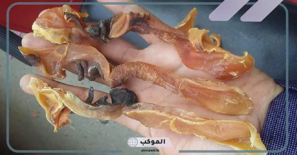 طريقة تجفيف الصرمباق البحري