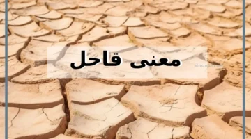 ماذا تعني قاحل 1