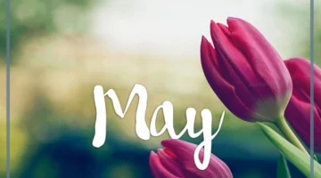 مايو
