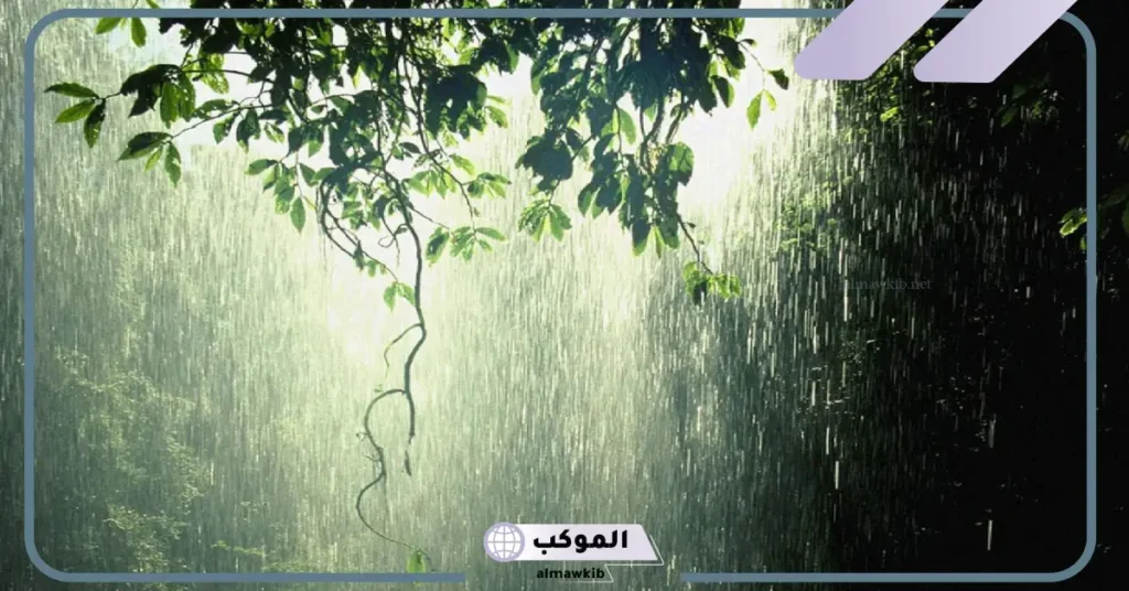 تفسير حلم رؤية المطر في المنام للمرأة العزباء والمتزوجة لابن سيرين 6 تفسير حلم التبلل بماء المطر للعزباء
