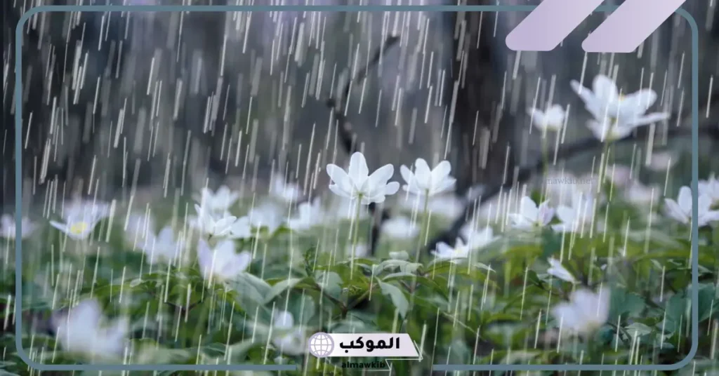 تفسير حلم رؤية المطر في المنام للمرأة العزباء والمتزوجة لابن سيرين 5 تفسير حلم التبلل بماء المطر للعزباء