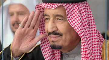 ملك سلمان للعزباء