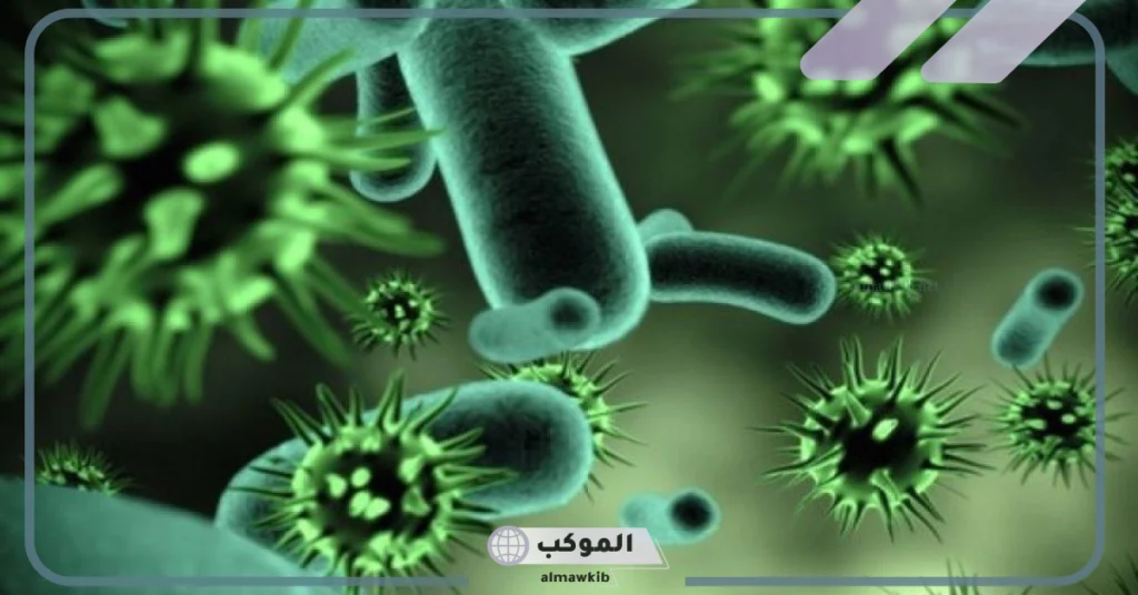 مملكة الطلائعيات 