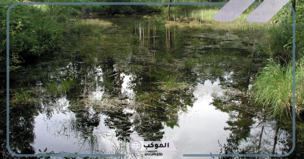 أهمية المياه السطحية 