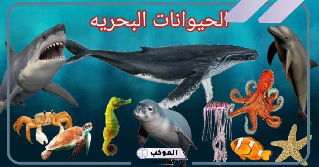 اسرع مخلوقات البحر 