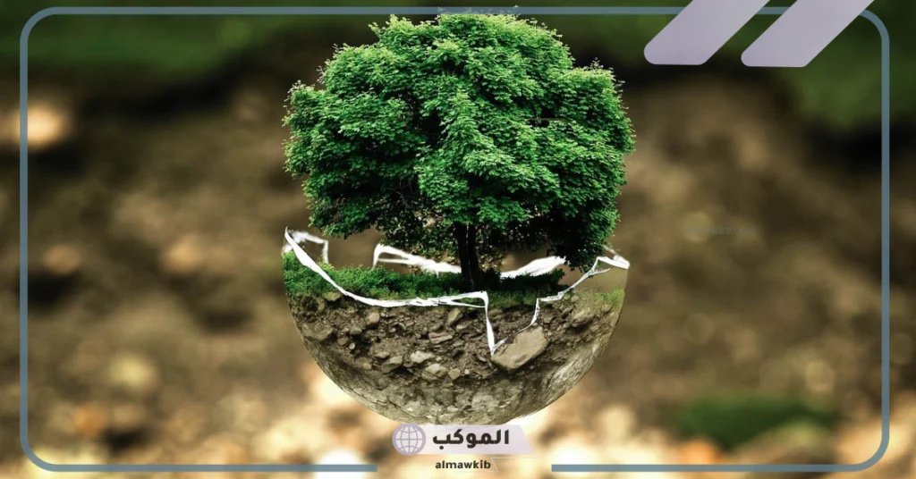 أنواع البيئه الطبيعيه بخصائصها وعناصرها.. مكونات البيئة 5 البيئة الطبيعية وعناصرها