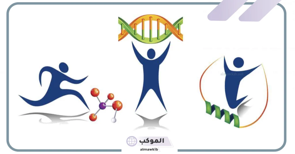 عناصر اللياقة البدنية المرتبطة بالصحة.. فوائد ممارسة اللياقة البدنية 5 فوائد ممارسة اللياقة البدنية المرتبطة بالصحة