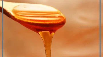 تأويلات عسل