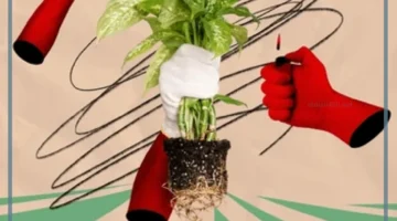 تلوث بيئة وتربة