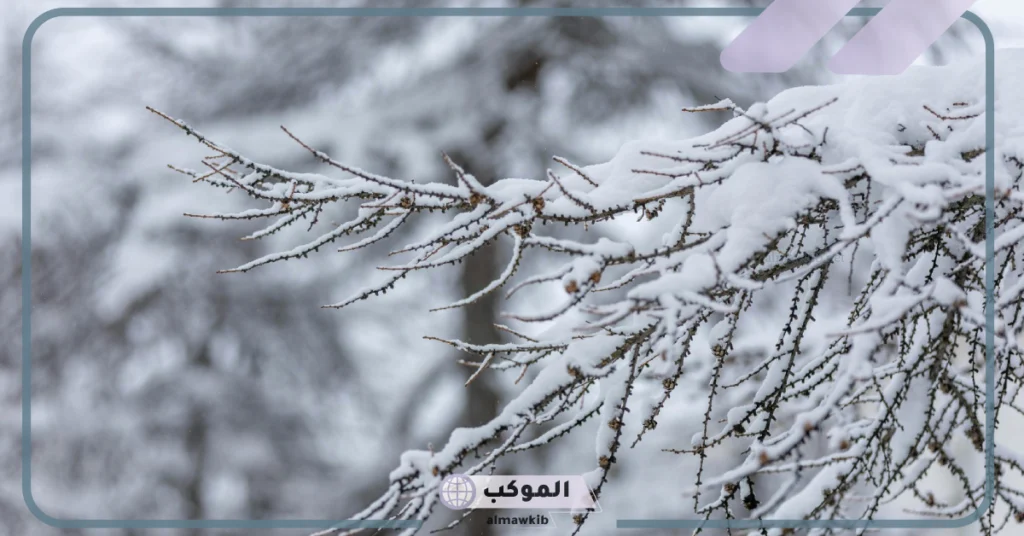 رؤية الثلج في المنام للمتزوجة