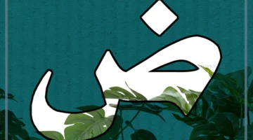 حرف ضاد نبات