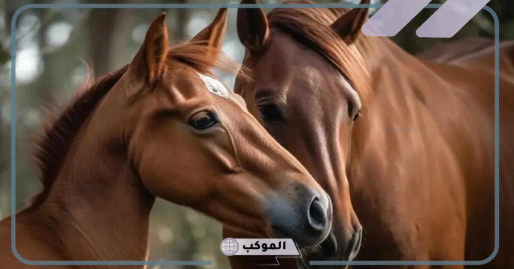 ما الذي يجعل خيول ثوروبريد فريدة من نوعها؟ أنواع خيول السباق 6 ما الذي يجعل خيول ثوروبريد فريدة من نوعها