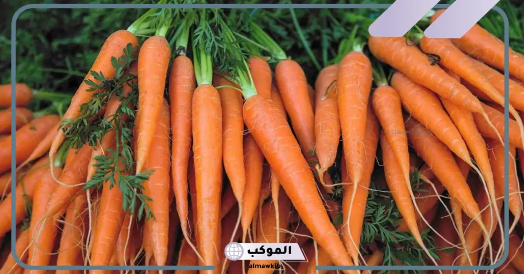 رؤية الجزر في المنام للمتزوجة