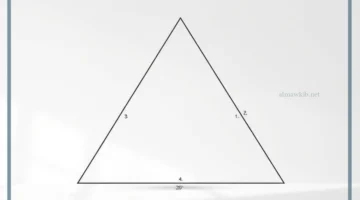 زوايا المثلث