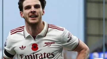 سندر لاند اليوم