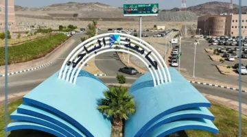 شروط الباحة