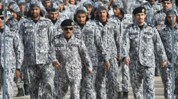 ضباط المملكة