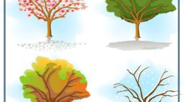 فصول السنة بالترتيب والشهور