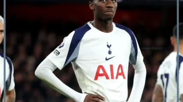 فولهام وتوتنهام اليوم