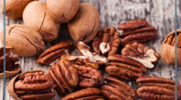 ما أنواع جوز