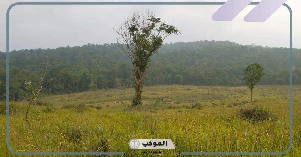 حيوانات تعيش في المنطقة العشبية