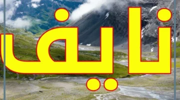 ما هو معنى اسم نايف بالعربي