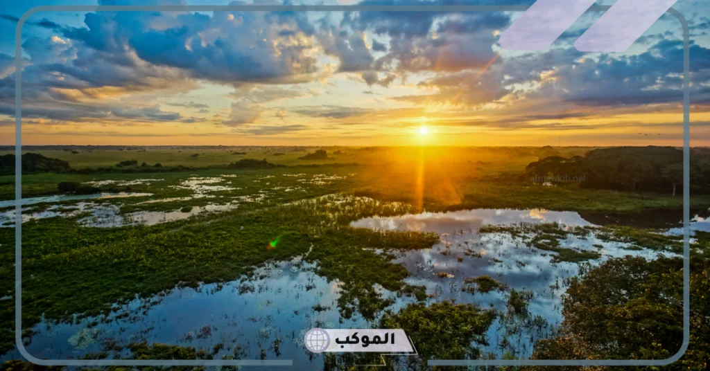 المناطق الحيوية على الأرض في علم البيئة.. المناطق الحيوية المائية 6 تتضمن المناطق الحيوية على اليابسة