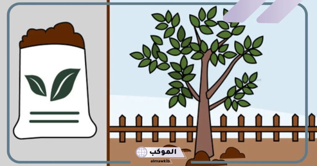 الترتيب الصحيح لدورة حياة شجرة التفاح.. متى تثمر شجرة التفاح؟ 5 معلومات عن شجرة التفاح للاطفال