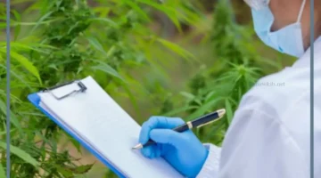 مراحل الطرق العلمية