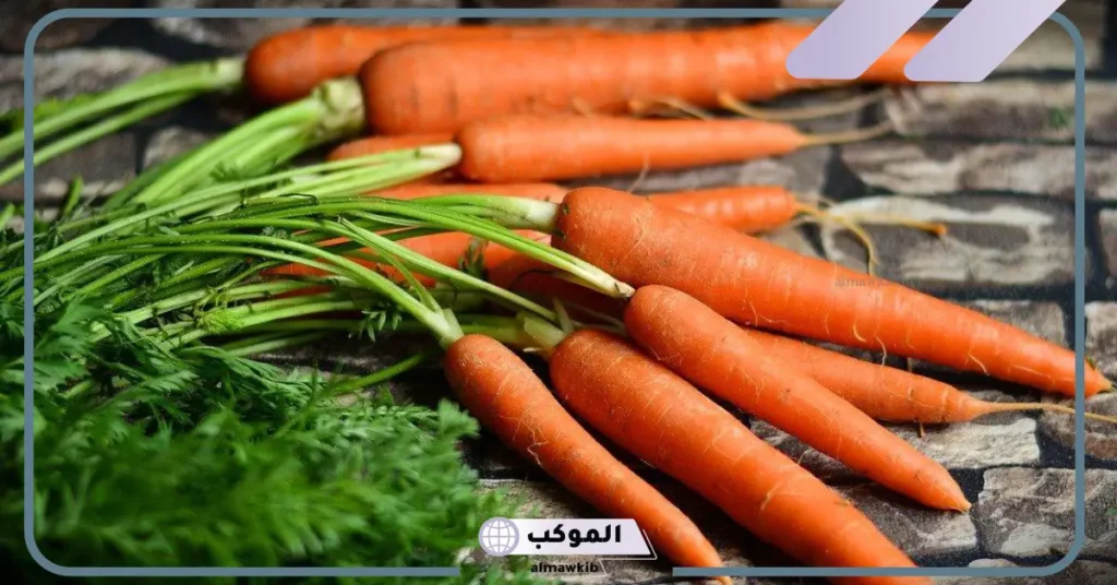 الجزر في المنام للعزباء