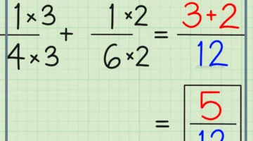 مفهوم النزعة المركزية