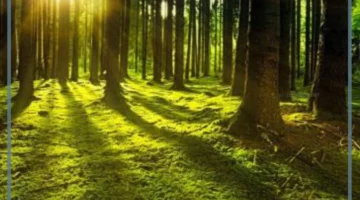 مناطق حيوية بالعالم