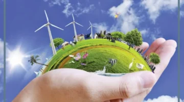 مورد متجدد ماذا يعني