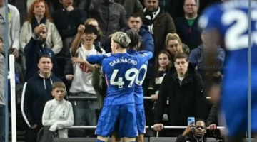 ولفر وتشيلسي