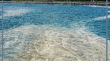 أسماء البحار في تركيا