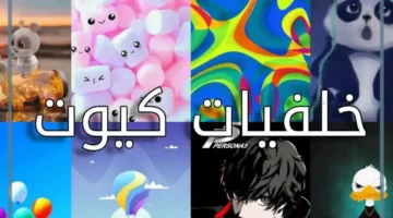 الخلفيات المميزة