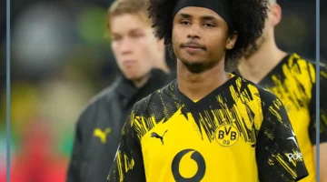 بروسيا دورتموند وهوفهنهام