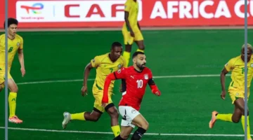 جنوب افريقيا اليوم